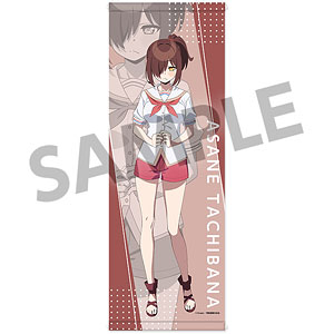 ぬきたし THE ANIMATION 描き下ろし　等身大タペストリー 畔美岬 ぬきたし THE ANIMATION スリムタペストリー 畔美岬[ホビー