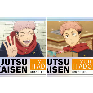 IS〈インフィニット・ストラトス〉 シャルロット・デュノア 120cm