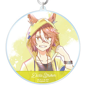 アニメ『ウマ娘 シンデレラグレイ』 ディクタストライカ Ani-Art aqua label BIGアクリルキーホルダー