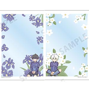 TVアニメ『ブルーロック』 トレーディング Botania B8硬質ケース 11個入りBOX