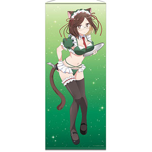 限定販売】やはり俺の青春ラブコメはまちがっている。完 ほぼ等身大