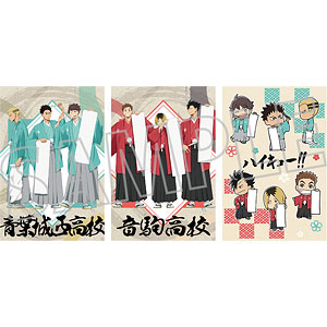 アニメ『ハイキュー！！』 クリアファイル 6.音駒高校(1)[エンスカイ