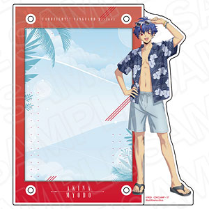 カードファイト！！ ヴァンガード Divinez デラックス決勝編 アクリル