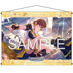 ダイアクロン DA-67 ワルダロス ソルジャータイプ II ダイアクロン DA-67 ワルダロス 〈ソルジャータイプII〉 (タカラトミー