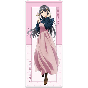 青春ブタ野郎はサンタクロースの夢を見ない 描き下ろし 桜島麻衣(夏