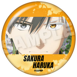 WIND BREAKER メモリーズちょびでか缶バッジ 杉下京太郎[ステラノーツ