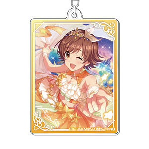 合計250個程　アイマス　アトレ　ガラポン　缶バッジ　アクリルキーホルダー 合計250個程 アイマス アトレ ガラポン 缶バッジ アクリルキーホルダー