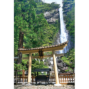 自然 RHシリーズ 4億年の神秘 2個入り 2024 Ninja ZX-4RR 40th Anniversary Edition モーターサイクル