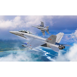 1/48 エアクラフトシリーズ F/A-18F スーパーホーネット VFC-12 プラモデル