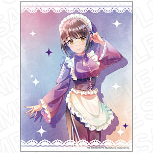 アイドルマスター シンデレラガールズ キャンバスプレート PALE TONE