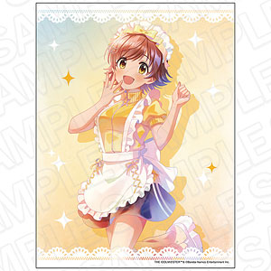 アイドルマスター シンデレラガールズ キャンバスプレート PALE TONE