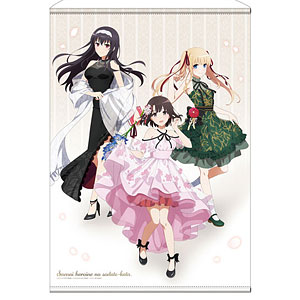 解放少女 SIN 大空翔子 1/8 カラーレジンキャスト製組立キット[RC