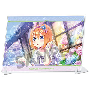 五等分の花嫁* A6ビジュアルアクリルプレート vol.1 中野四葉