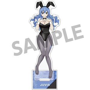 ステラ☆シアター 泉空 のびのびスク水きせかえVer. 完成品フィギュア