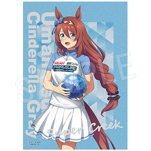 ToHeart2 XRATED 小牧愛佳 Summer Vacationスペシャル 1/5 完成品