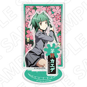 ブシロード ラバーマットコレクション V2 Vol.243 アイドルマスター