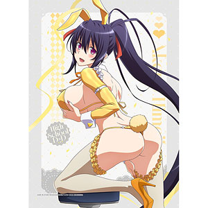 ハイスクールD×D HERO 描き下ろしB2タペストリー(姫島朱乃/逆バニー(黄色))Wスエード