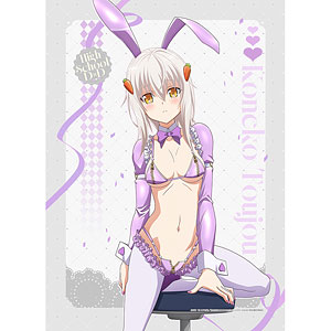 ハイスクールD×D HERO 描き下ろしB2タペストリー(塔城小猫/逆バニー(紫))Wスエード