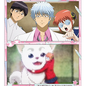 3年Z組銀八先生 ポストカードセット B