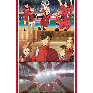アニメ「ハイキュー！！」 ポストカードセット 烏野高校[コンテンツ