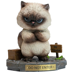 Angry Cat with Base D