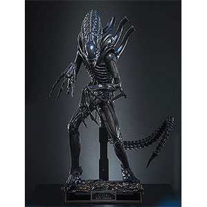 ムービー・マスターピース エイリアン2 1/6 エイリアン・ウォーリアー 2.0版 延期・前倒可能性大