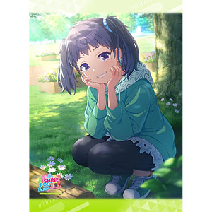 シャインポスト B2タペストリー(聖舞理王)Wスエード-amiami.jp