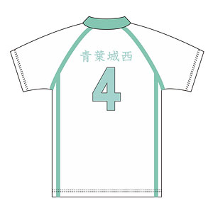 ハイキュー！！ ユニフォーム 青葉城西高校 岩泉一 L