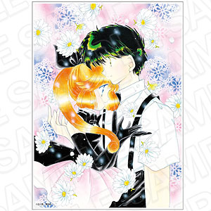 検索結果]-amiami.jp-あみあみオンライン本店-