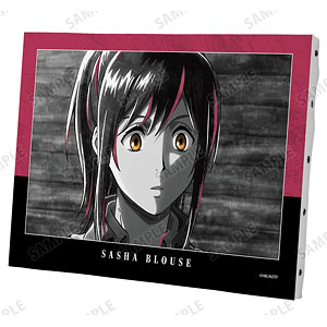 TVアニメ『進撃の巨人』 サシャ Ani-Art BLACK LABEL 第3弾 F0号キャンバスボード