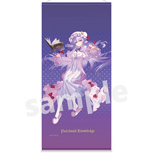 東方Project タペストリー パチュリー・ノーレッジ