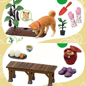 ぷちサンプルシリーズ おいしい野菜の育てかた 6個入りBOX