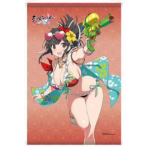 【限定販売】シノビマスター 閃乱カグラ NEW LINK 飛鳥 画集描き下ろし水着Ver. B2タペストリー