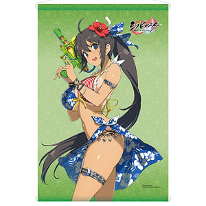 【限定販売】シノビマスター 閃乱カグラ NEW LINK 焔 画集描き下ろし水着Ver. B2タペストリー