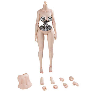 1/6 セミメカニカル 女性素体 白肌 ラージバスト[True 1 Toys]《12月