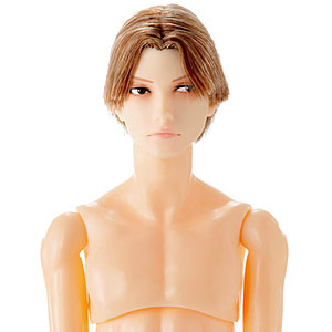 六分の一男子図鑑 B2610 ナイン 完成品ドール
