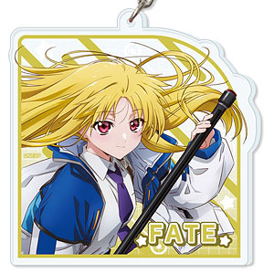 魔法少女リリカルなのは EXCEEDS Gun Blaze Vengeance ビッグアクリル