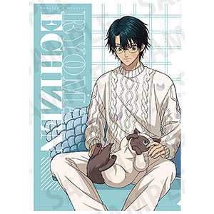 新テニスの王子様 ～リラックスタイム～ A4ファイル リョーマ