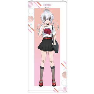 戦姫絶唱シンフォギアXV 描き下ろし 雪音クリス 私服ver. 等身大タペストリー