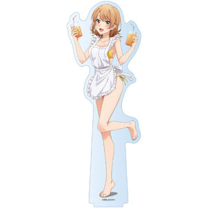 やはり俺の青春ラブコメはまちがっている。完 描き下ろし アクリル
