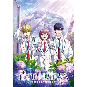 DVD 花ざかりの君たちへ 第2期 DVD BOX Vol.2 完全生産限定版